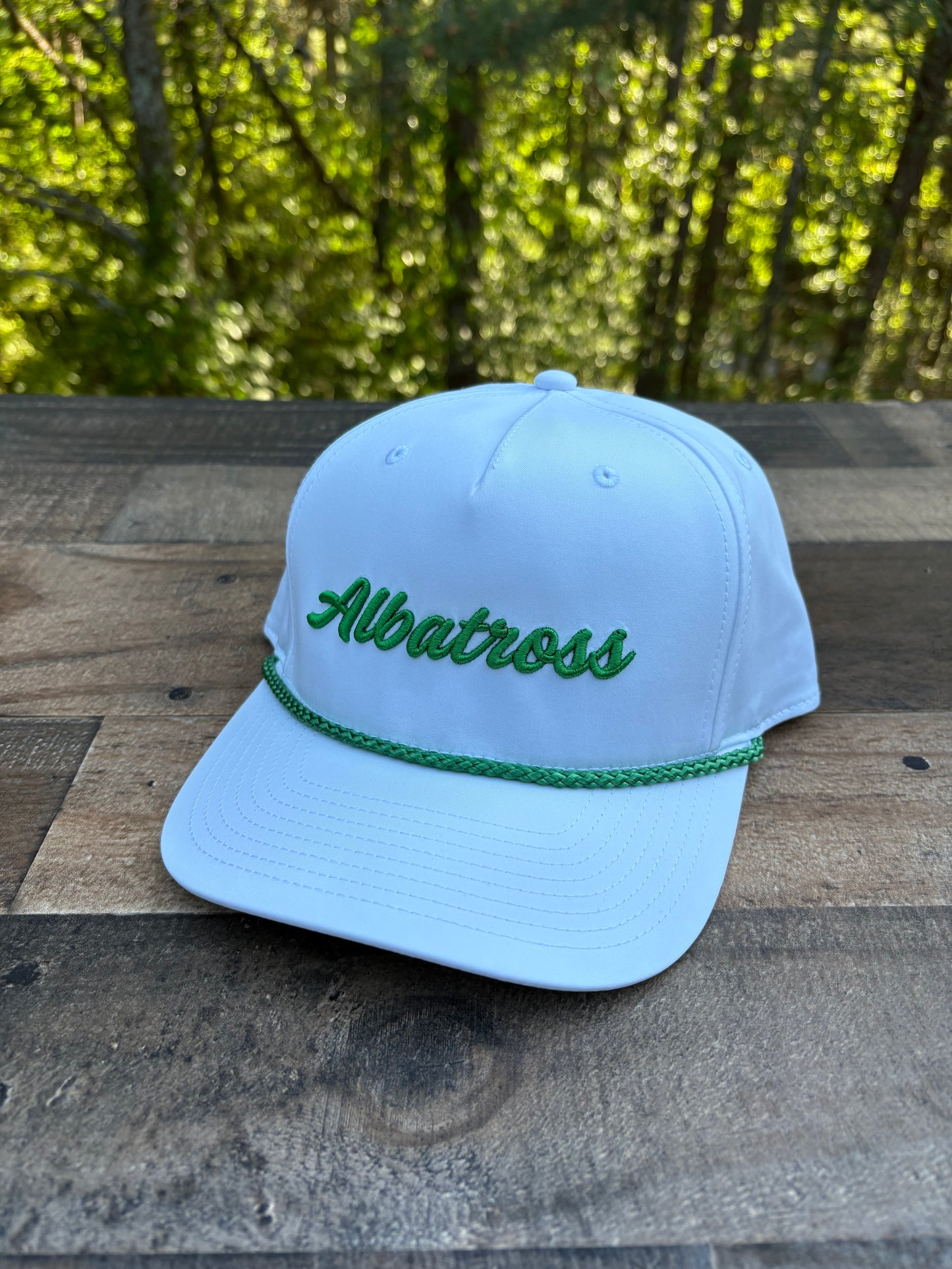 Augusta Albatross 3D